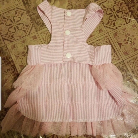 Dog or pet dress - Picture 3 of 4